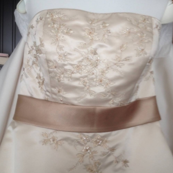 OLEG CASSINI COLLECTION WEDDING DRESS FROM DAVID'S - Picture 12 of 12
